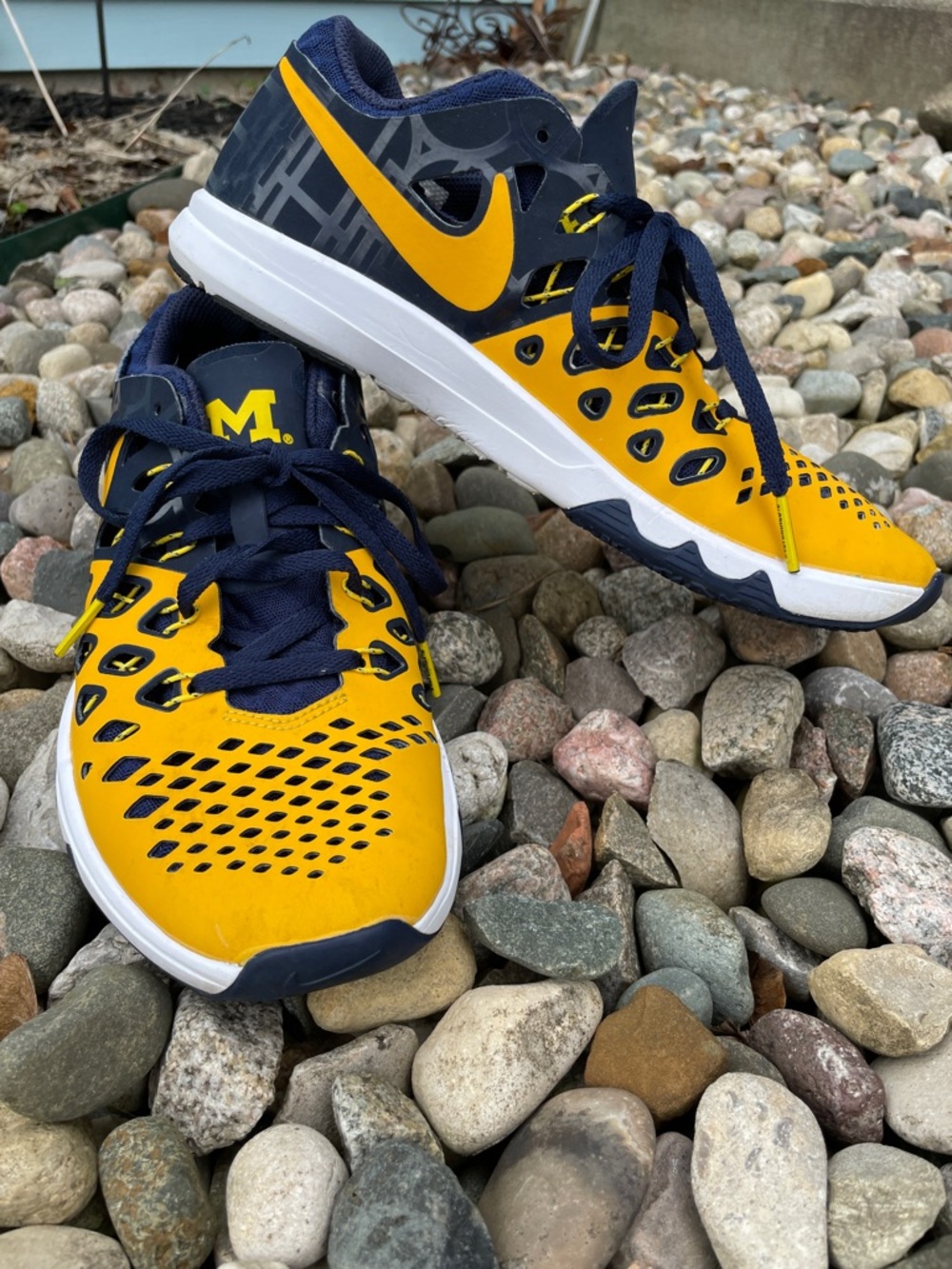 Nike University of Michigan Train Speed 4 Wolverines Sneakers Men’s‎ 6